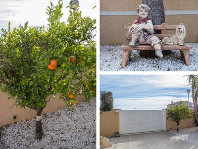 Mandarintre, statue og elektrisk port